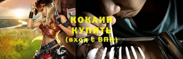 spice Бородино