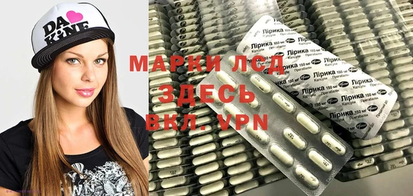 прущие грибы Бугульма