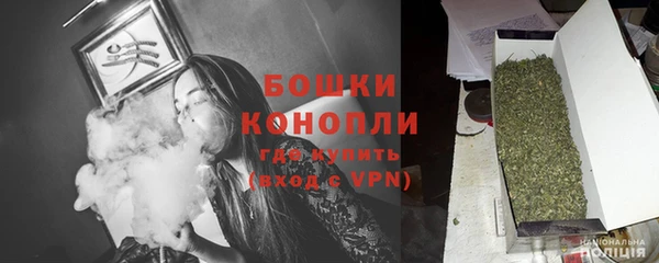 spice Бородино