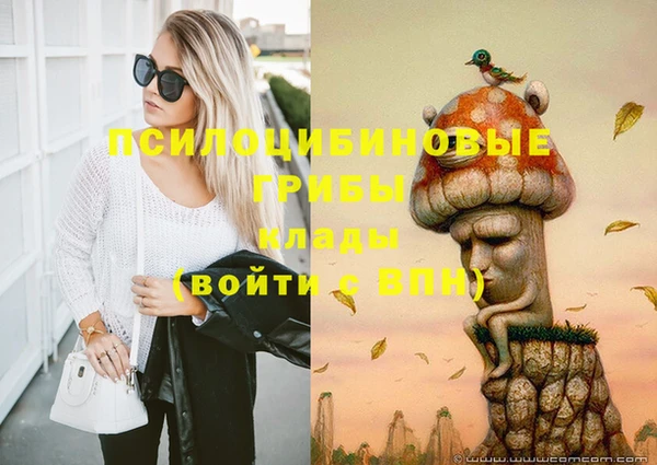 ГАЛЛЮЦИНОГЕННЫЕ ГРИБЫ Бронницы
