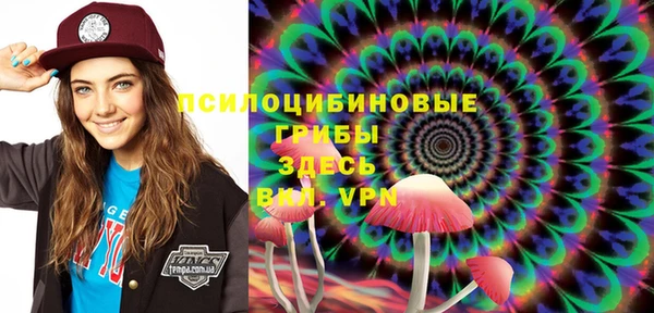 ГАЛЛЮЦИНОГЕННЫЕ ГРИБЫ Бронницы