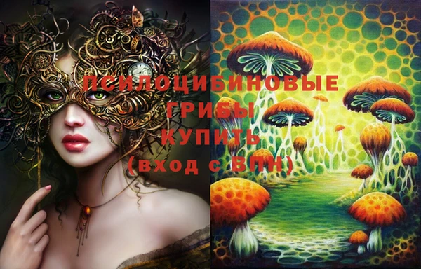 прущие грибы Бугульма