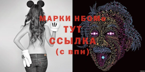 spice Бородино