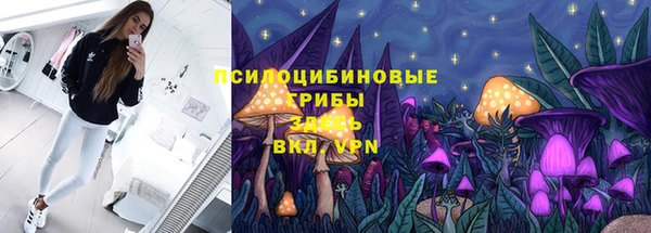 прущие грибы Бугульма