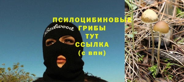 прущие грибы Бугульма