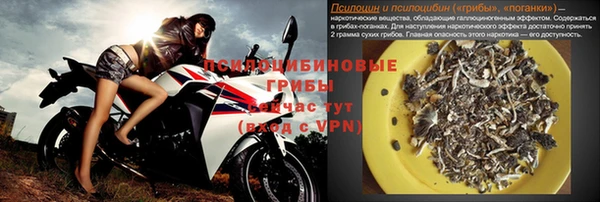 прущие грибы Бугульма
