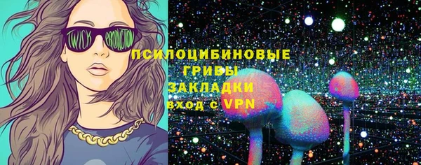 spice Бородино