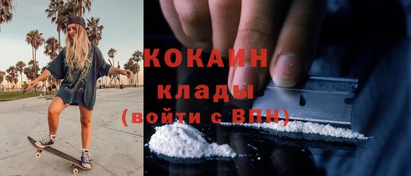 spice Бородино