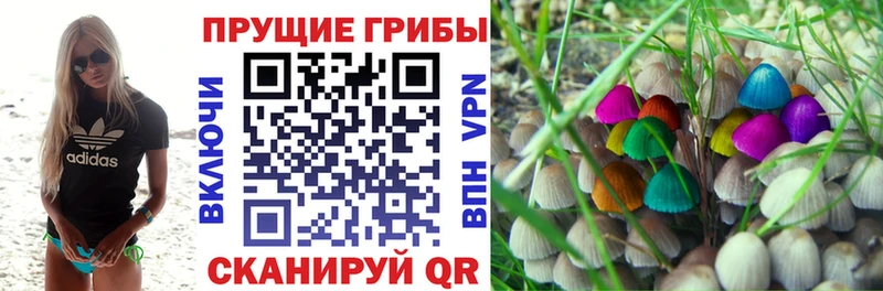 Галлюциногенные грибы мухоморы  хочу   даркнет официальный сайт  Нарьян-Мар 